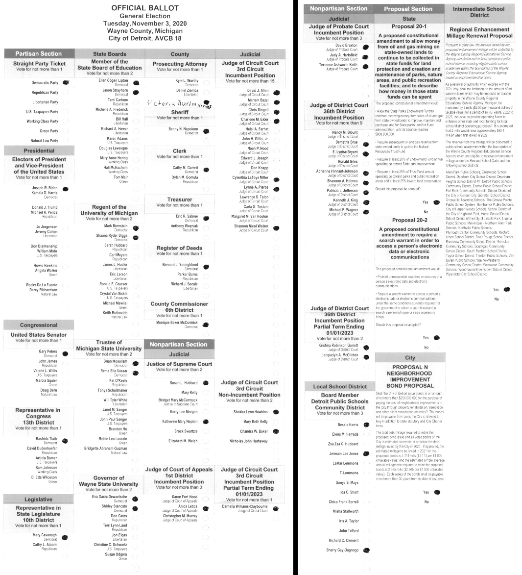 Primary-style BMD ballot example 1